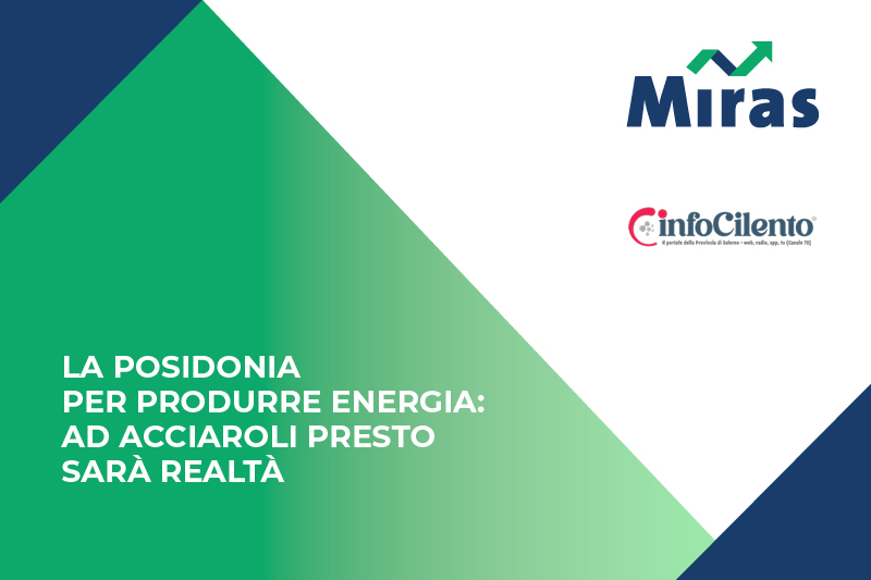 La posidonia per produrre energia: ad Acciaroli presto sarà realtà