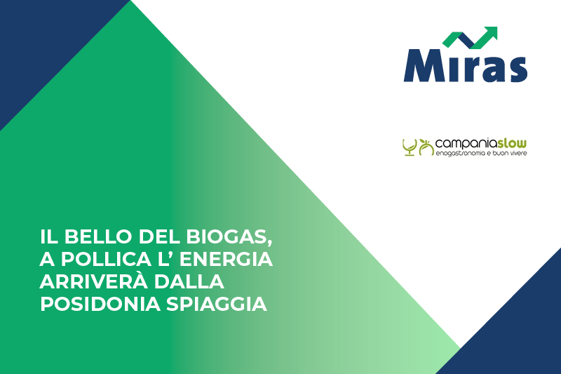 Il Bello del Biogas, a Pollica l’ energia arriverà dalla Posidonia spiaggia