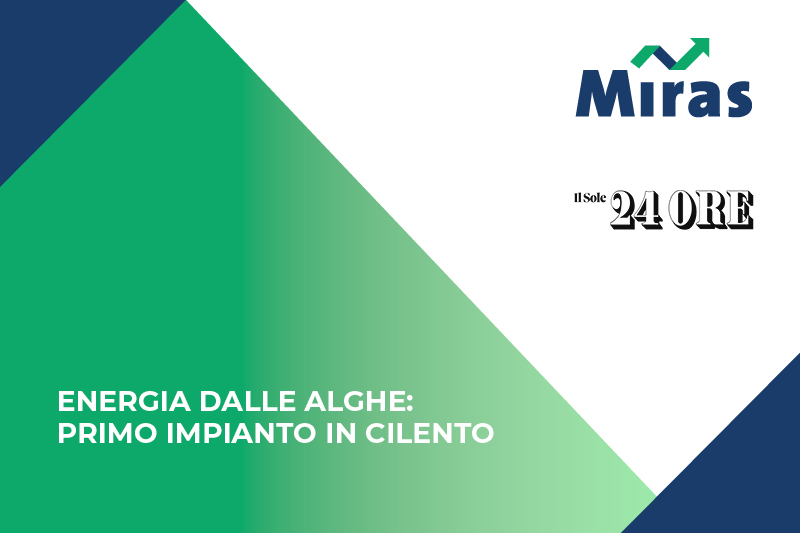  Energia dalle alghe: primo impianto in Cilento