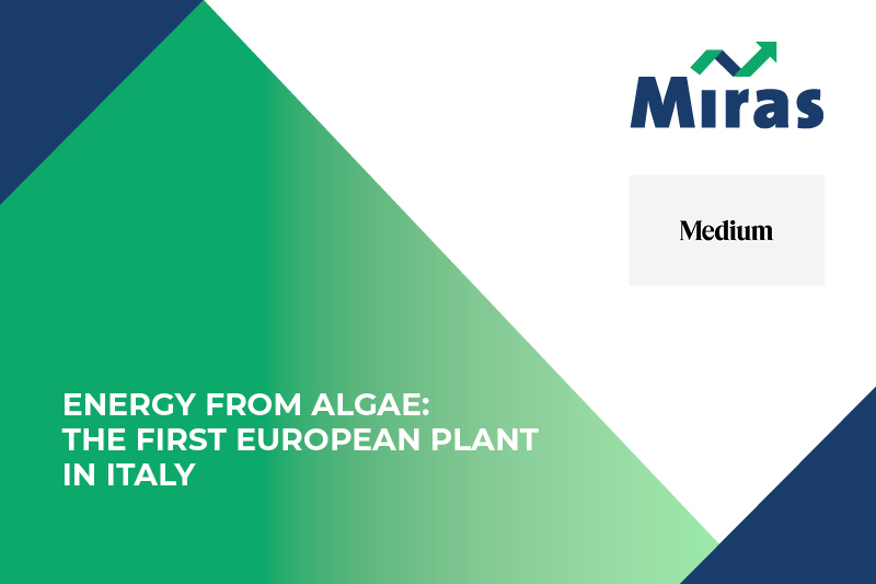 Energy From Algae: The First European Plant in Italy