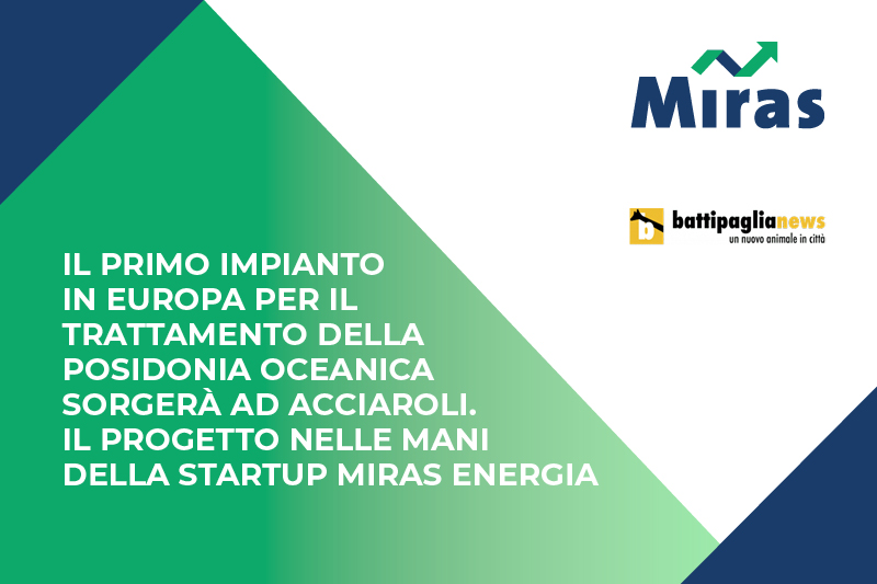 Il primo impianto in Europa per il trattamento della Posidonia oceanica sorgerà ad Acciaroli. Il progetto nelle mani della startup Miras Energia.