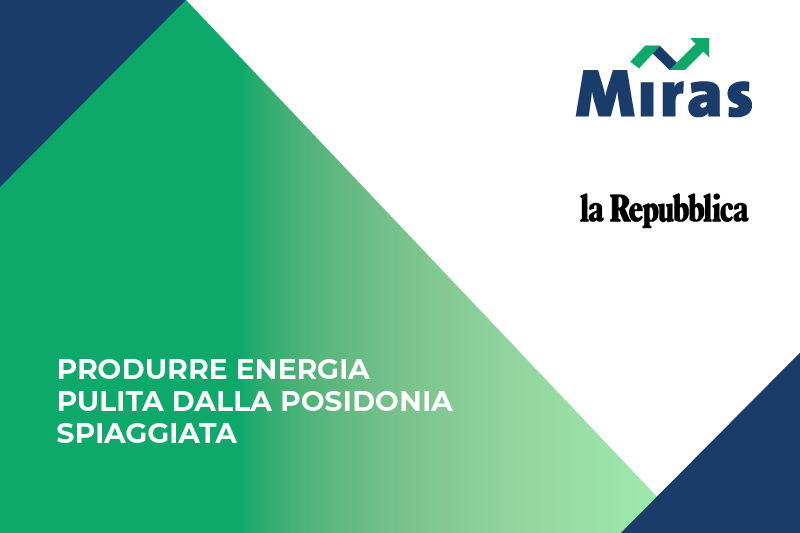  Produrre energia pulita dalla Posidonia spiaggiata